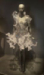 iris van herpen image 1.jpg