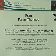 Zertifikat PSYCH-K Advanced Workshop