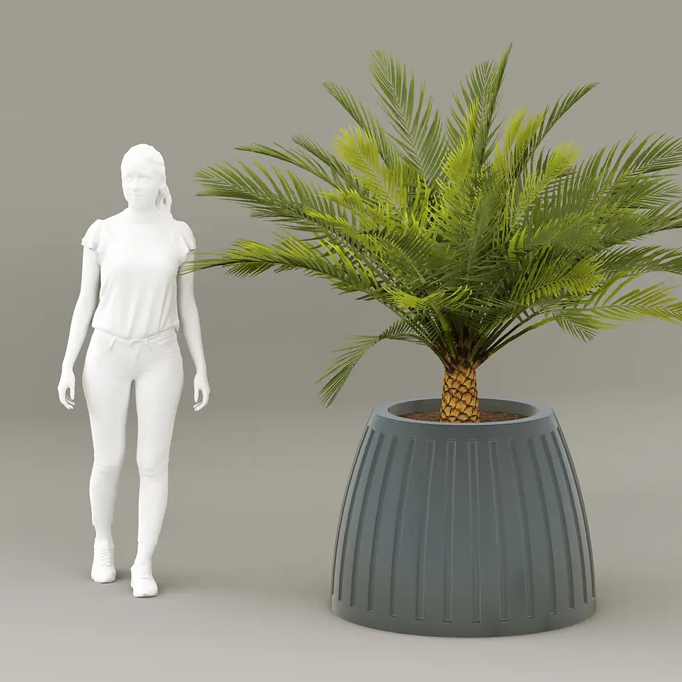 Миниатюра: Біла 3D-модель жінки стоїть поруч із сірим ребристим горщиком із саговою пальмою на сірому фоні.