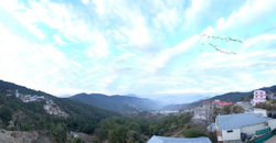 Chail Residency valley view