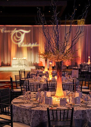 Copy of HCP_7_D125.jpeg