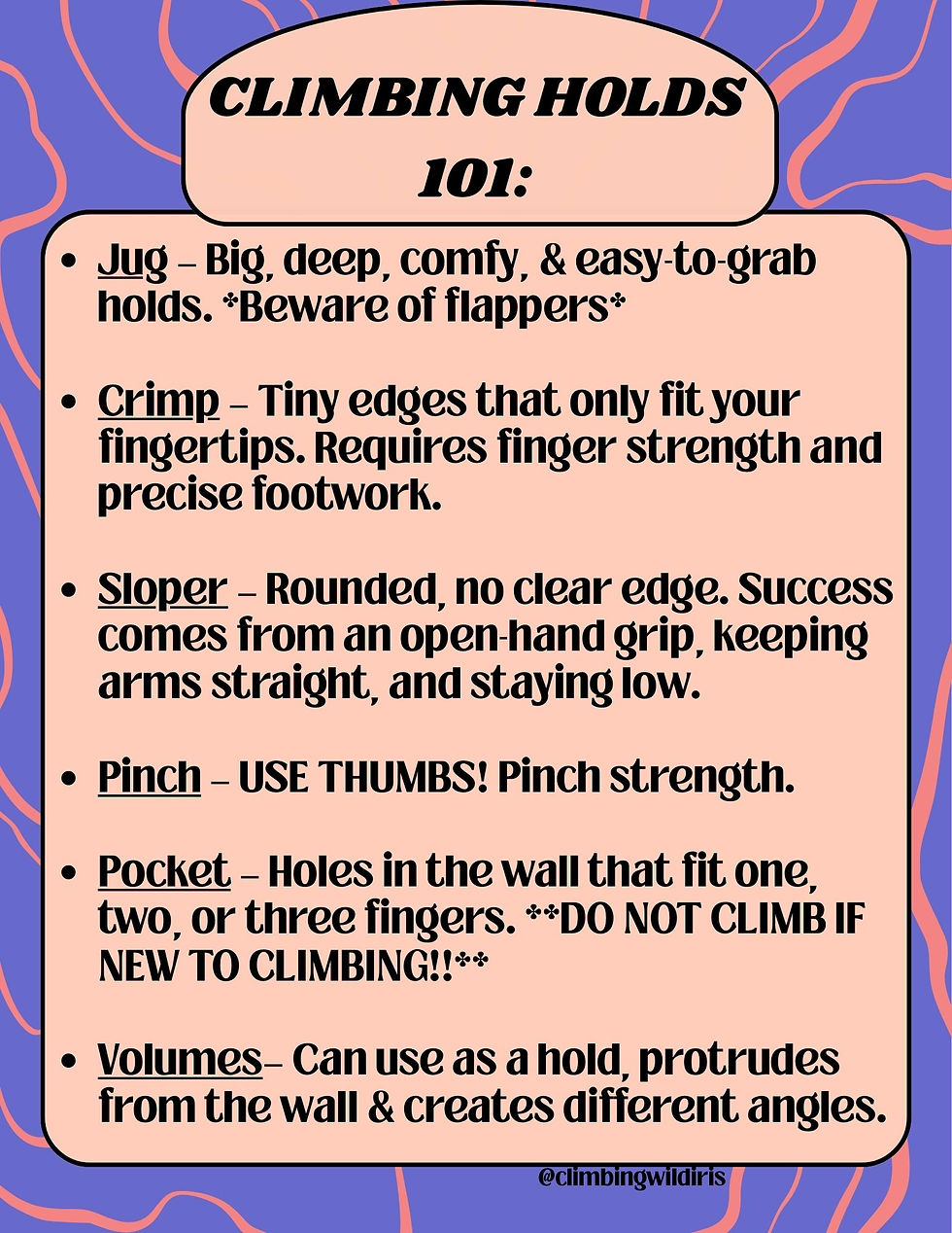 Climbing Holds 101: A Beginner-Friendly Guide