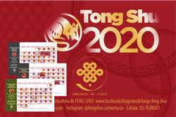 Tong Shu 2020