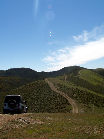 the track 5.jpg