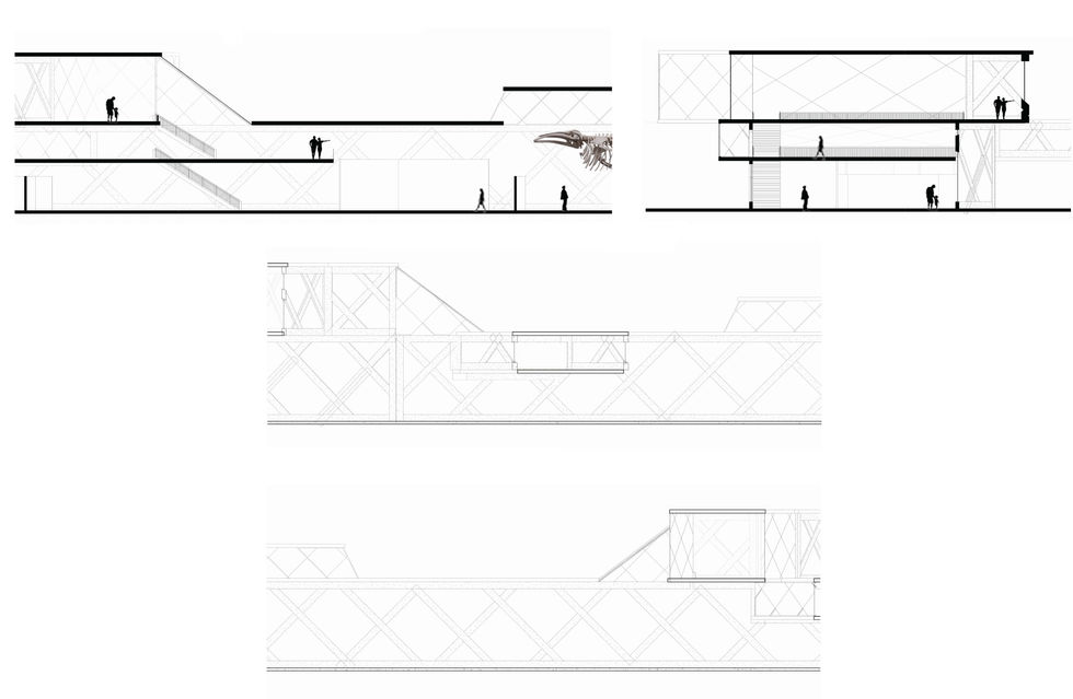 Sections and Elevations of Marine Exhibit