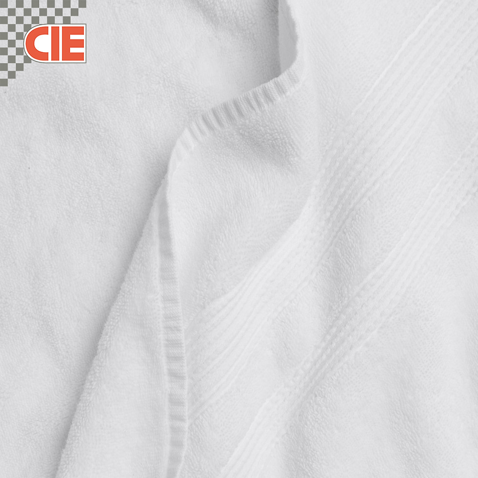 Thumbnail: "Luxury hotel terry bath towel" – "Soft and highly absorbent white terry bath towel, offering a plush and spa-like experience in hotels."