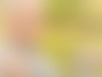 O envelhecimento muscular