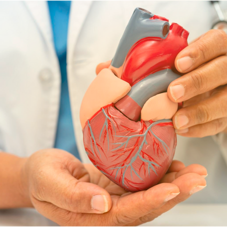 Problemas no coração nem sempre causam dor no peito: saiba reconhecer os sinais sutis