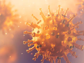 Variantes do vírus da covid