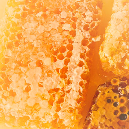 O própolis faz bem para a saúde?