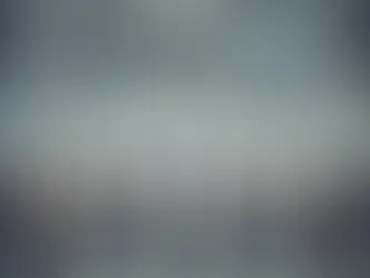 Private Equity and Corporate Governance: How PE Investors Influence Governance in Their Portfolio Companies