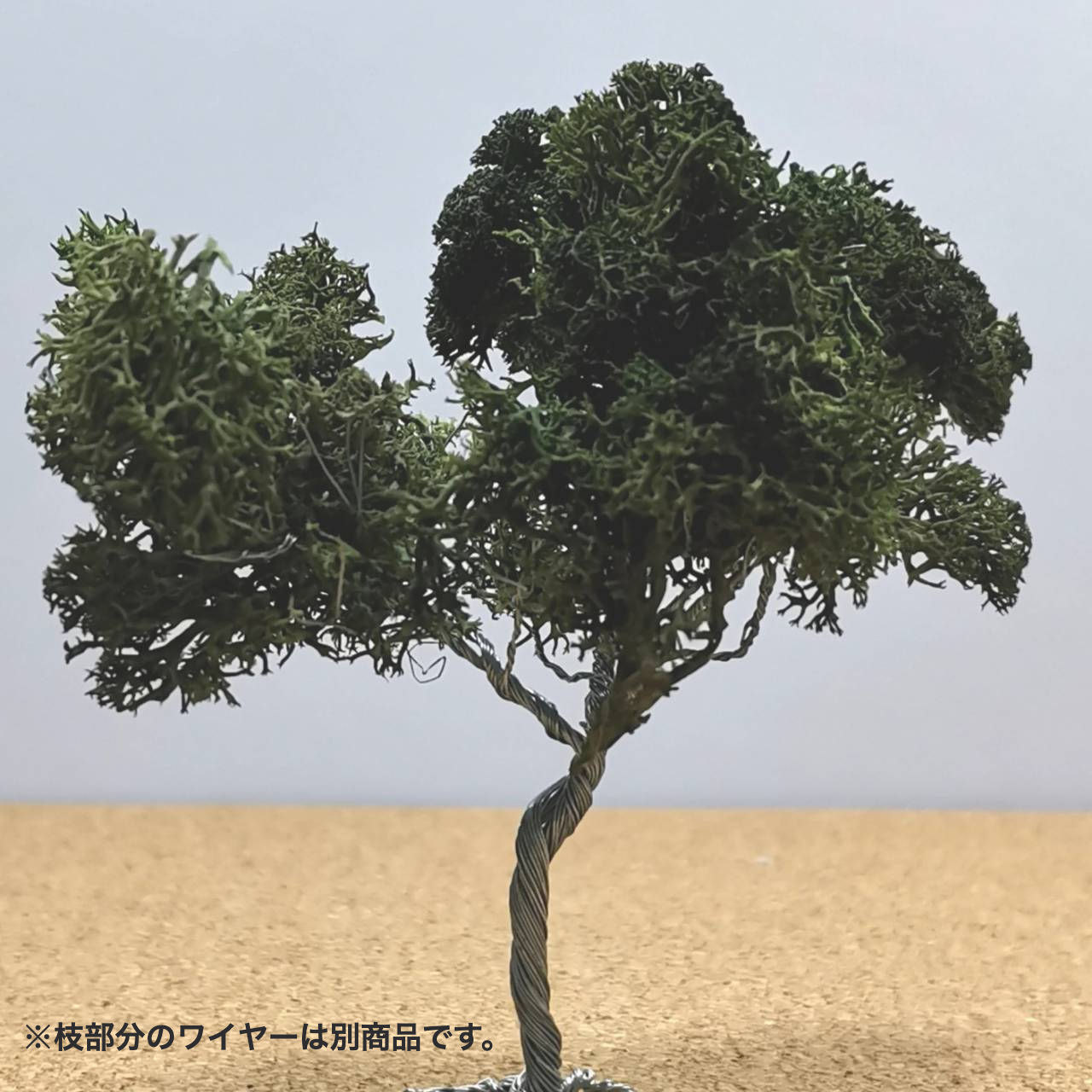 アイスランドモス