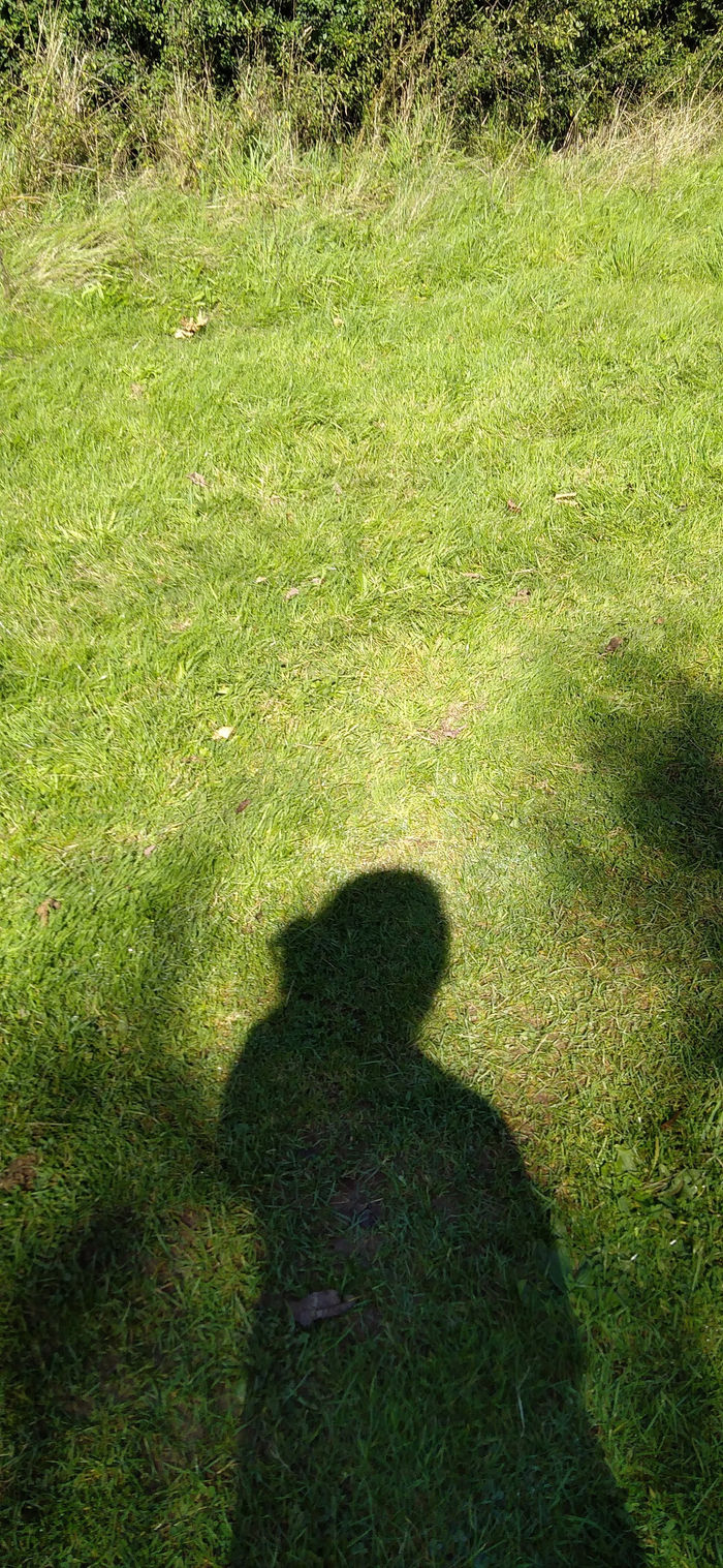 Virtually Outdoors
