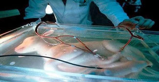 The artificial womb has been developed in Tokyo!
