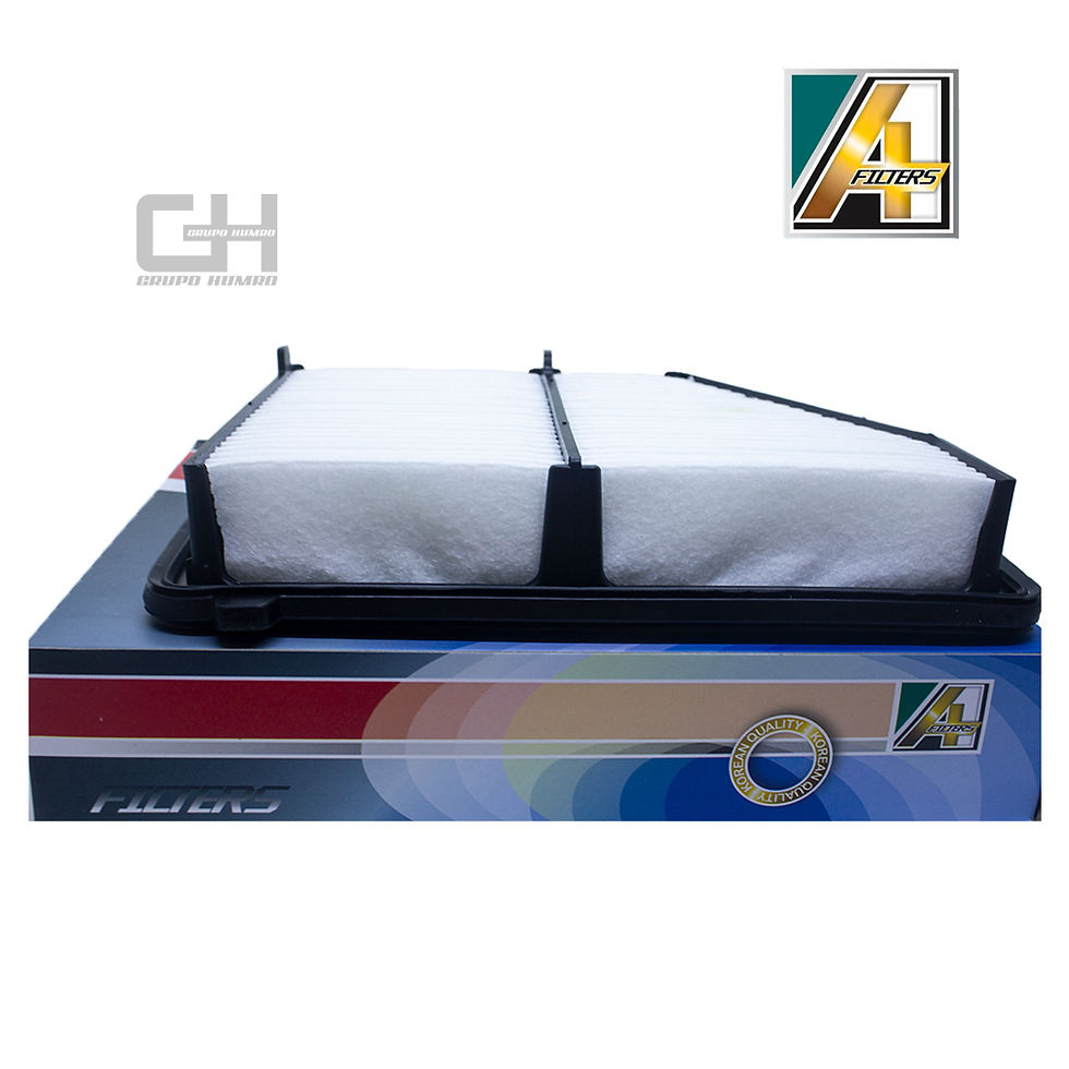 Miniatura: Filtro de Aire 5BA-A00P