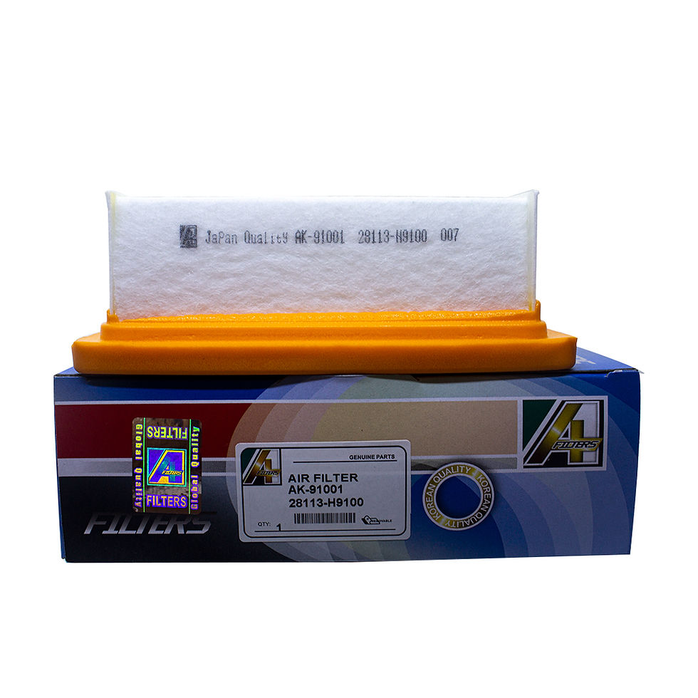 Miniatura: Filtro de Aire AK-91001