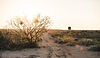 rancho-deer-blind-road.jpg