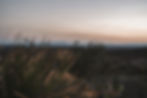 Desert ranch landscape at Rancho Seco in northern Mexico
