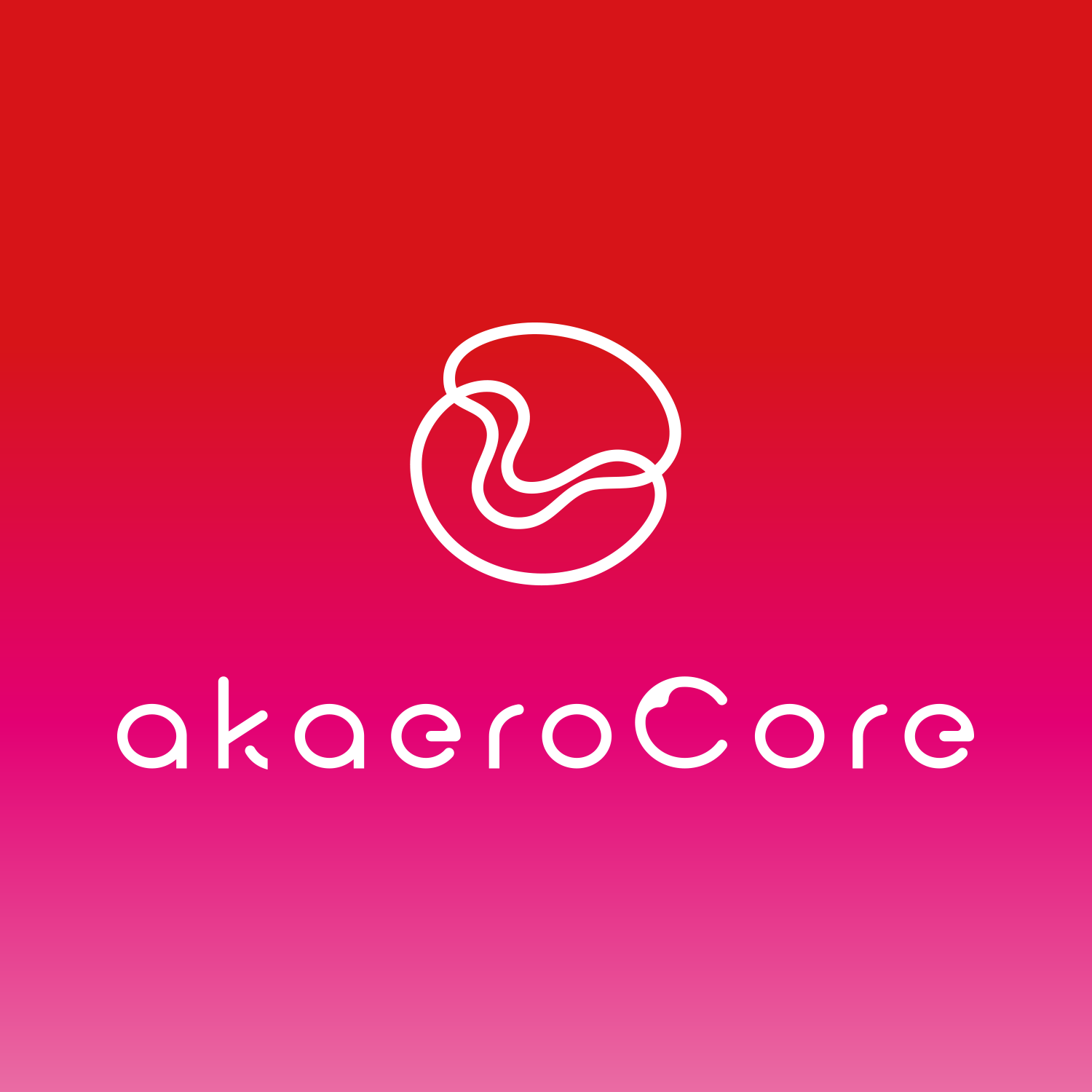 作家相片: akaeroCore