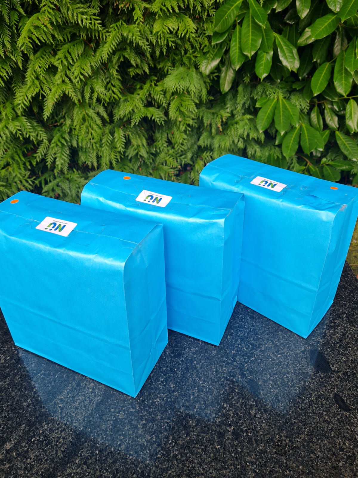 NESS-GEX Plastic Free Eco Straws (8mm)