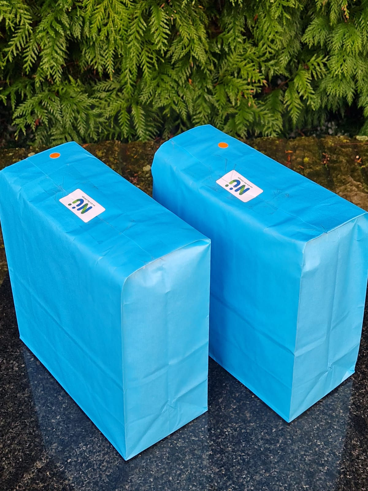 NESS-GEX Plastic Free Eco Straws (6mm) 1000 Per Case