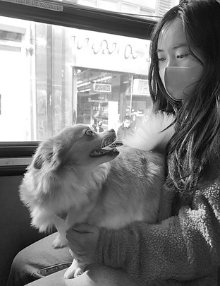 Miso&Me.jpg