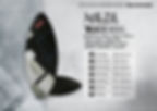 BLACK SOUL 訂價 15,500
