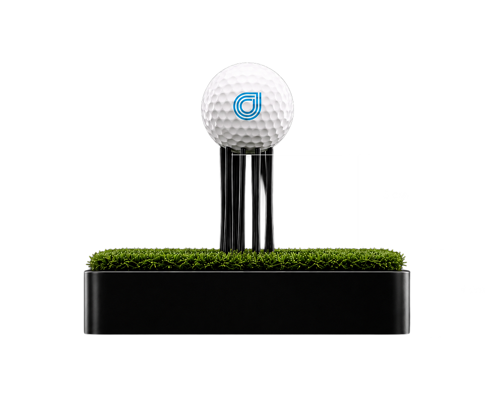 measurements2_transparent_bg.png