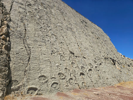 How to see Bolivia's Dinosaur Footprints