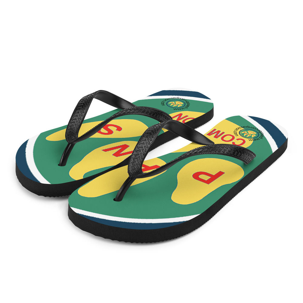 Flip-Flops