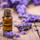 Thumbnail: Natural Essential Oil