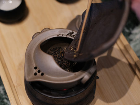 Tea Series 01 | Where Tea Begins: A Leaf, a Mountain, a Way of Living (Part 1)