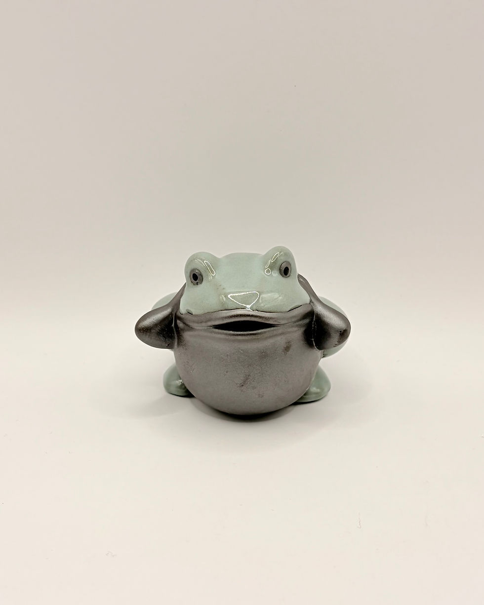 Thumbnail: Handmade Clay/Glazed Porcelain Frogs in Denial - "I don't know anything"