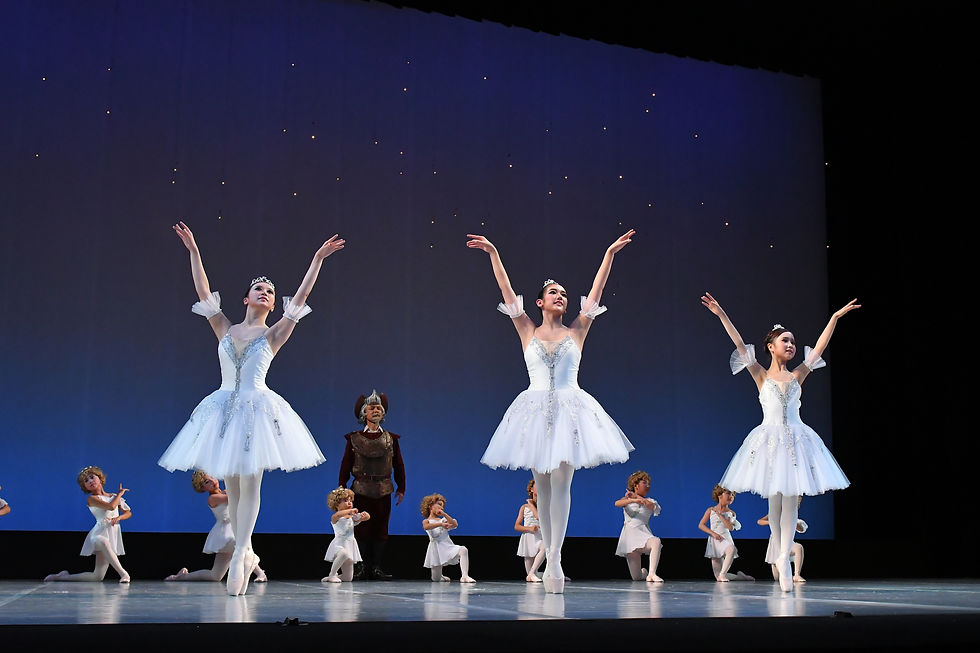 1082　撮影：テス大阪