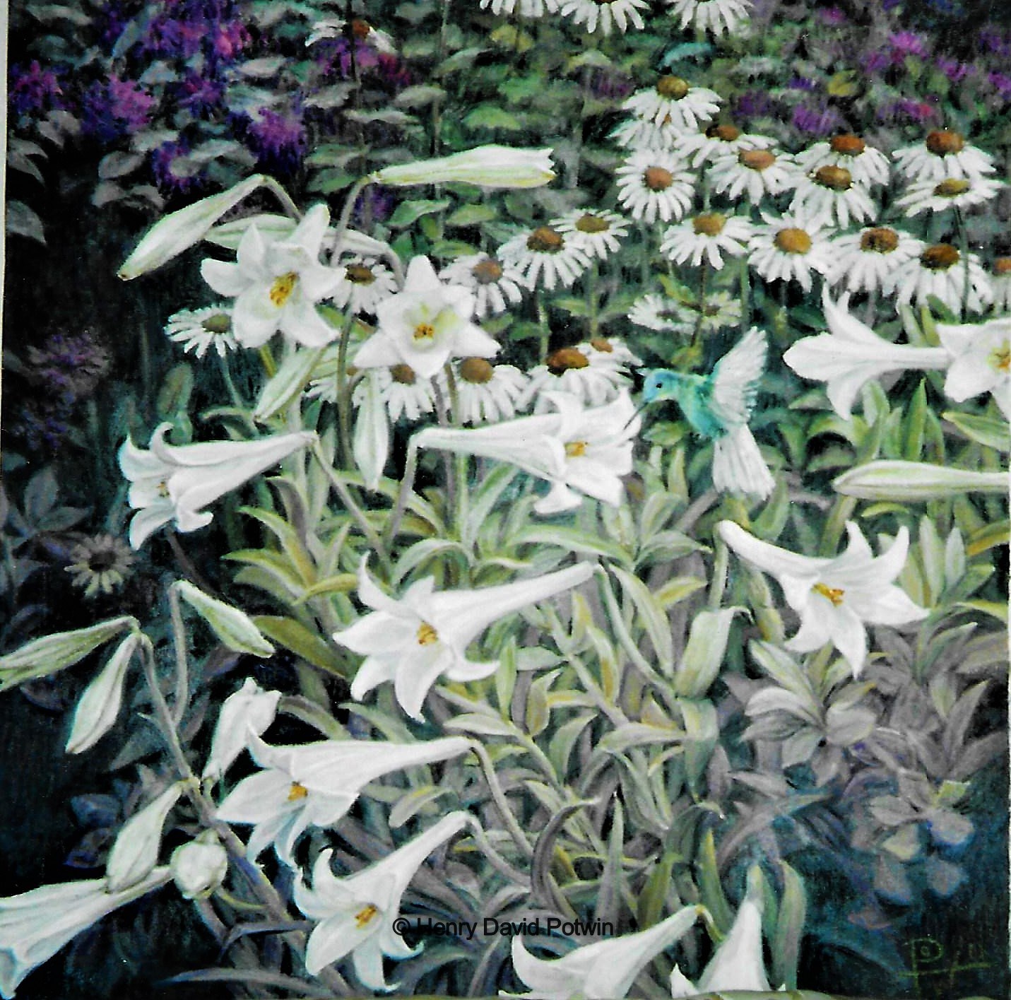 Lillies and Hummingbird - 2000-2001 32X34"