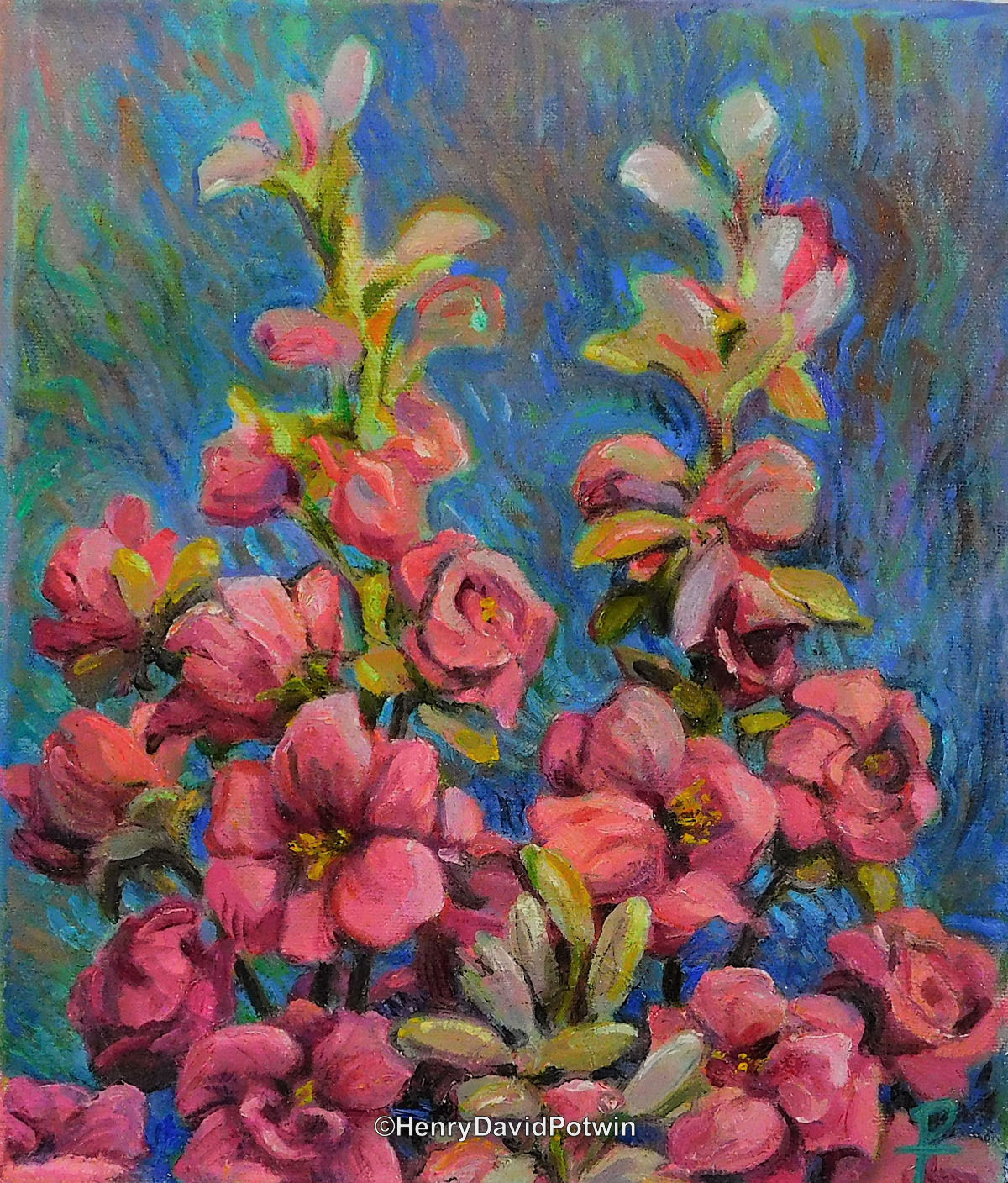 Delphinium - 2017 12X10"
