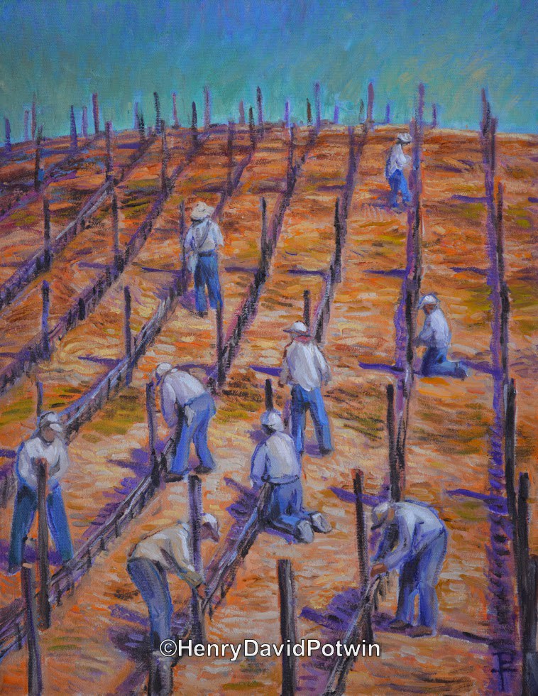 Preparing Root Stock - 2014 18X14"