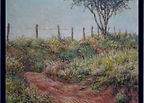 Fence line