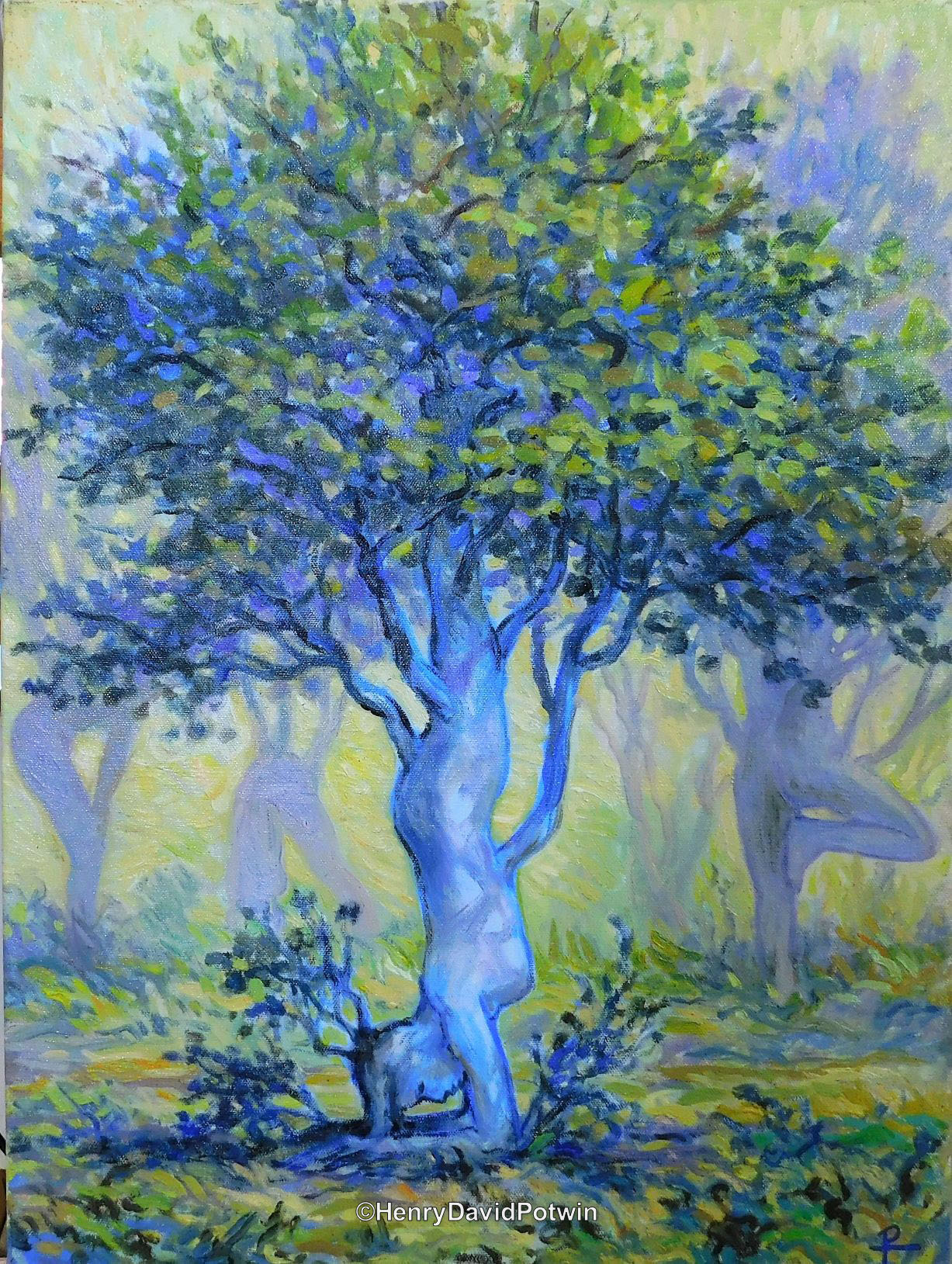Pincha Murasana tree - 2017 22X16"