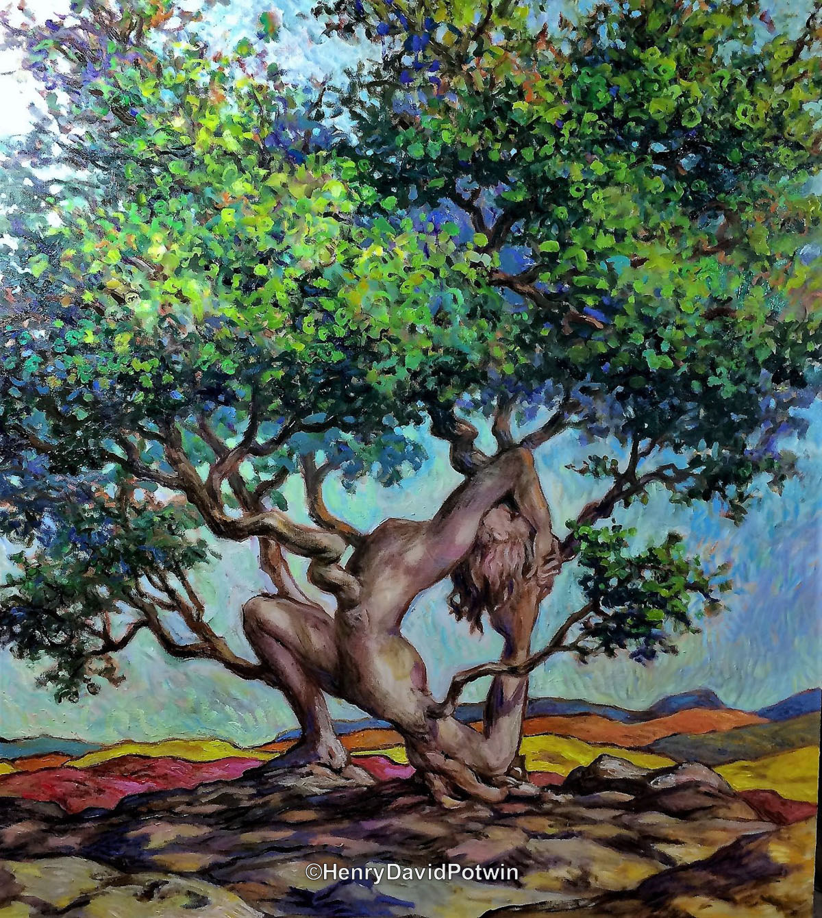 Asana Tree - 2018 38X32"
