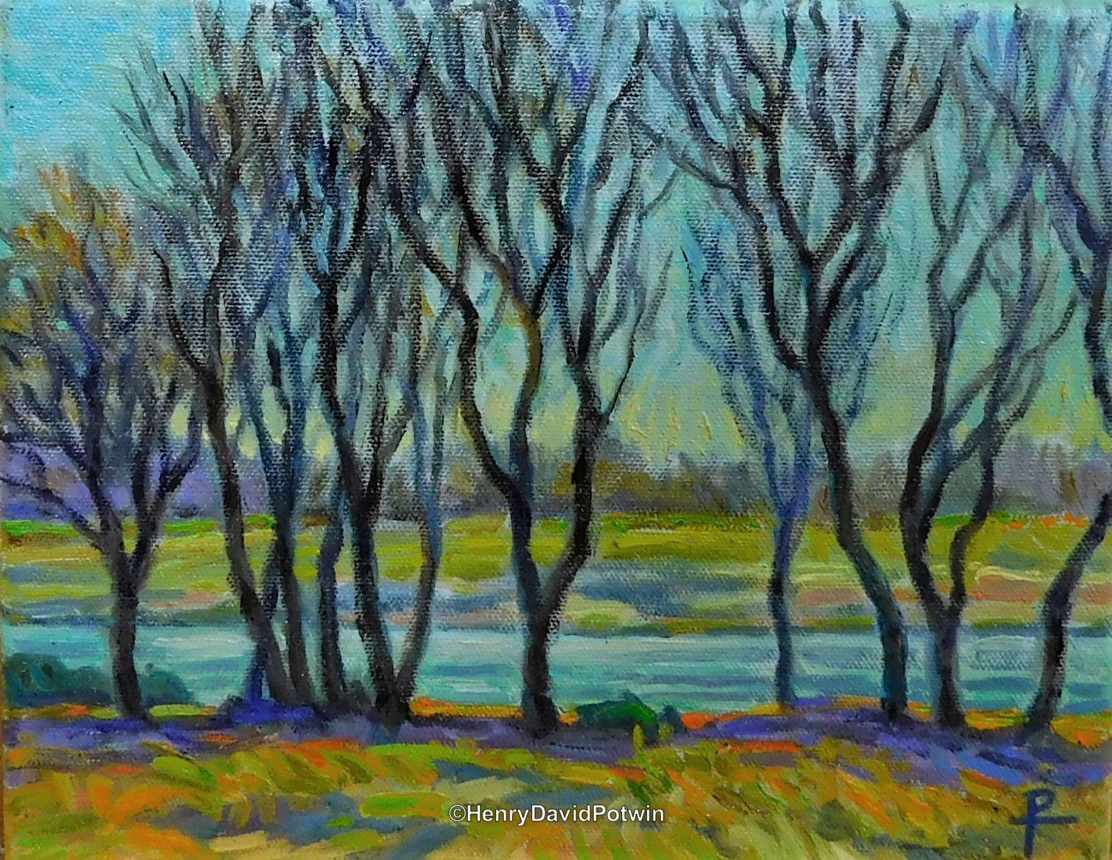 Trees On The Bank - 2018 8X10"