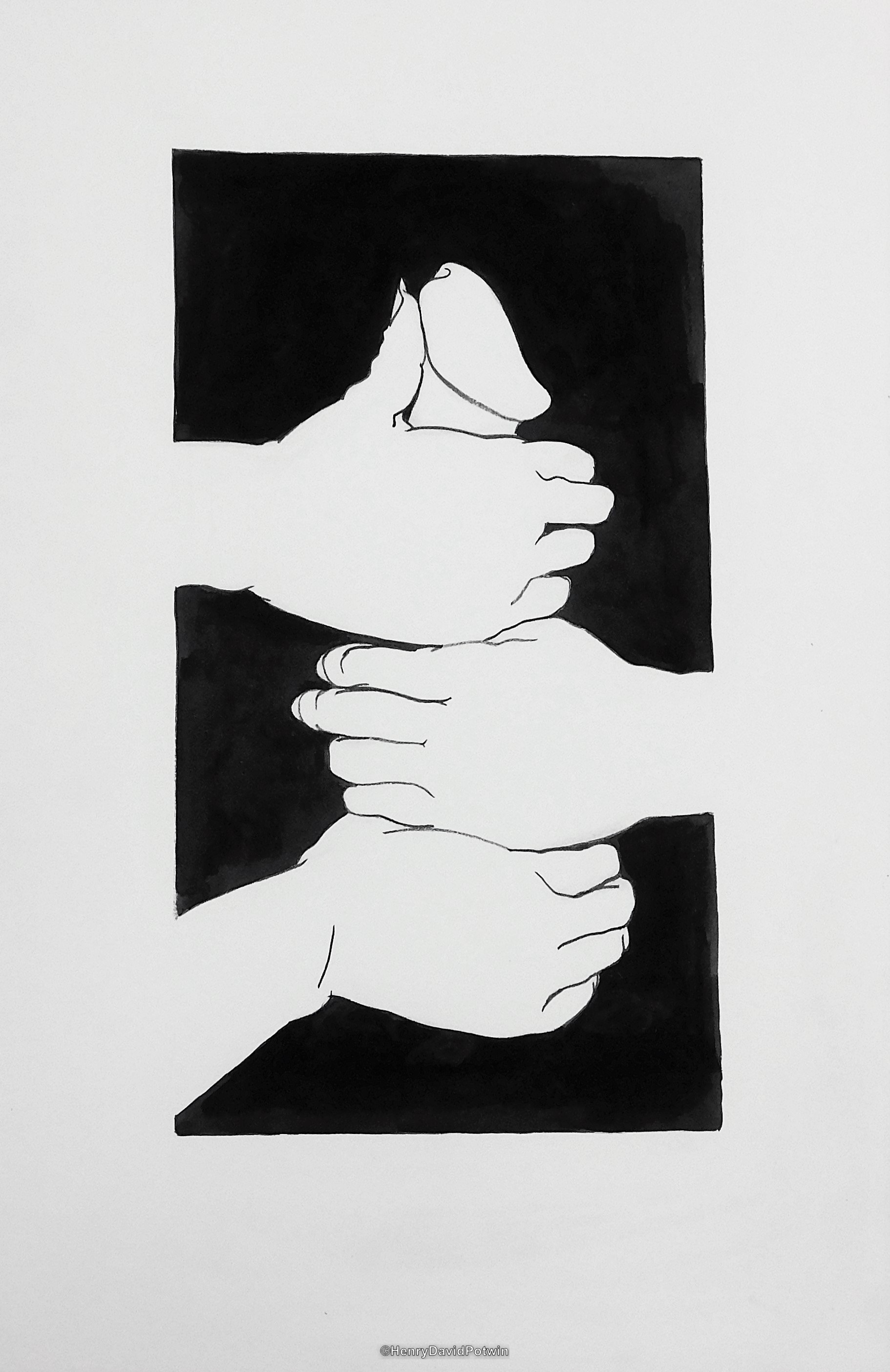 Untitled (Phallus ) - 17X12"