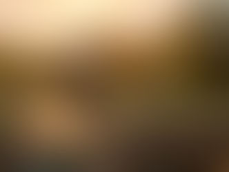 Agroindústria transforma a vida de pequenos produtores