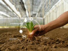 Sustentabilidade no Agronegócio: como práticas sustentáveis estão sendo aplicadas na agricultura e qual o papel do agrônomo nesse processo: