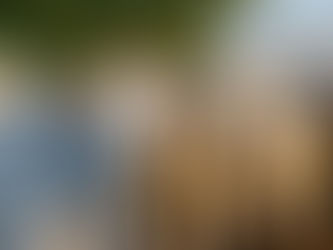 Profissionalização da pecuária e o desafio de formar líderes preparados para cenários complexos