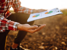 Planejamento orçamentário para grandes propriedades: estratégias financeiras para o agronegócio