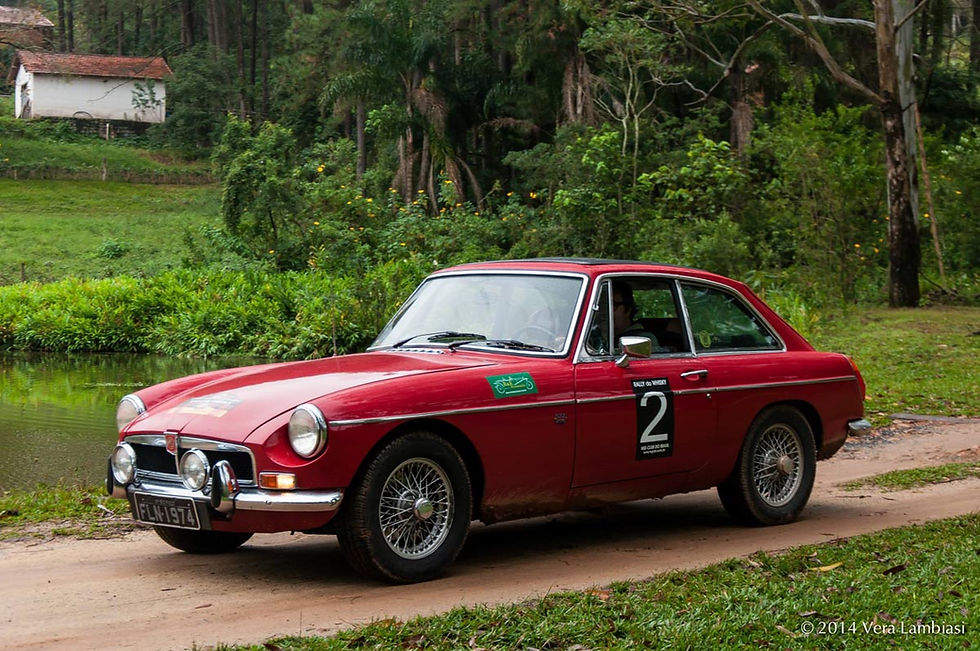 MG B durante rally de regularidade do MG Club do Brasil (Vera Lambiasi/MGCBR)