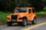 Troller T4 TDI 2013