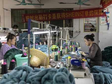 SHEIN: Chi paga davvero?