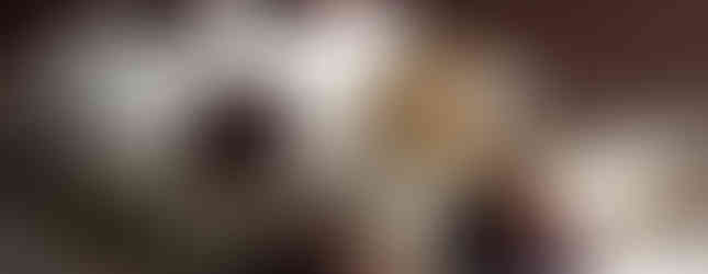 Fotógrafo profissional especialista em gastronomia | comida | alimentos e produtos | Floripa | Florianópolis